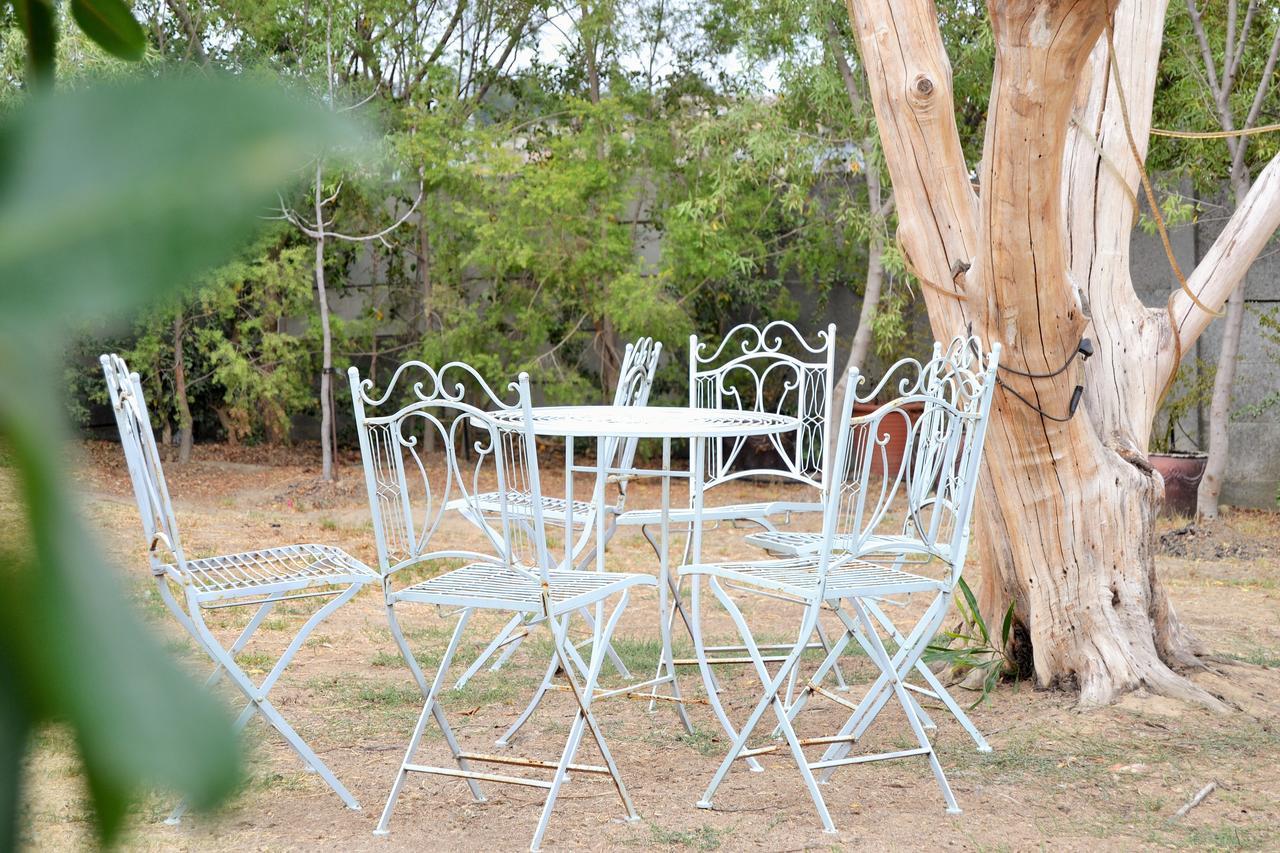 Versailles Self-Catering Wellington Ngoại thất bức ảnh